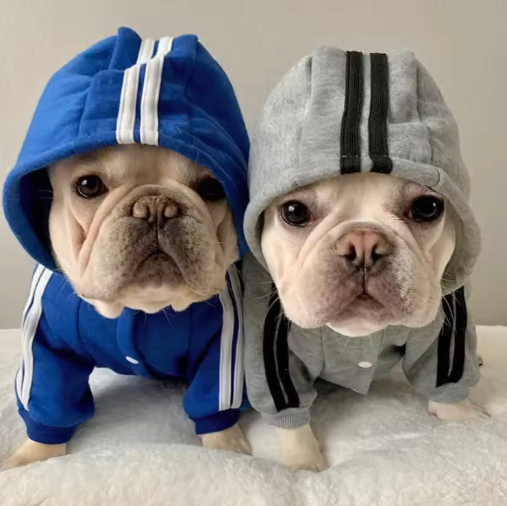 Adidog Sweatsuit